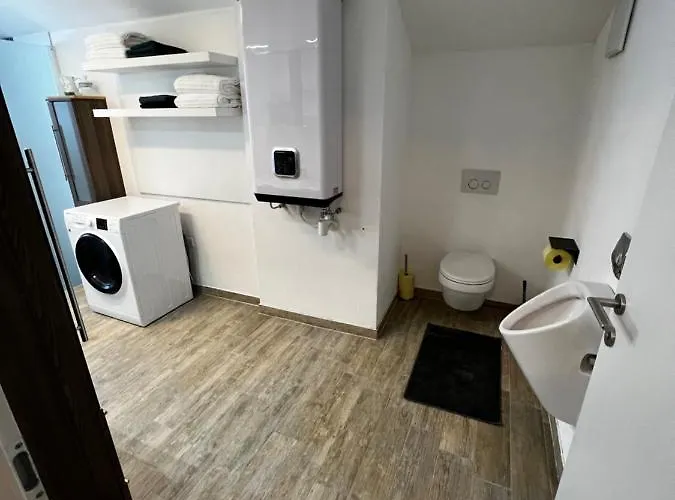 Haus Bergfeld With The View Over Dachstein Appartamento